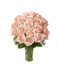 Long-stem Cream roses